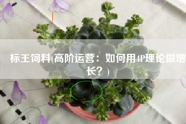 标王饲料(高阶运营：如何用4P理论做增长？)