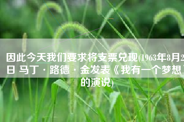 因此今天我们要求将支票兑现(1963年8月28日 马丁·路德·金发表《我有一个梦想》的演说)