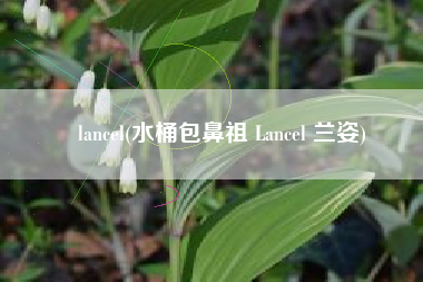 lancel(水桶包鼻祖 Lancel 兰姿)