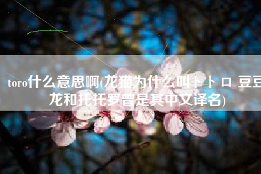 toro什么意思啊(龙猫为什么叫トトロ 豆豆龙和托托罗曾是其中文译名)