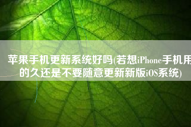 苹果手机更新系统好吗(若想iPhone手机用的久还是不要随意更新新版iOS系统)
