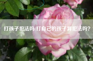 打孩子犯法吗(打自己的孩子算犯法吗？)