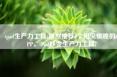 ipad生产力工具(强烈推荐6个相见恨晚的APP，iPad秒变生产力工具)