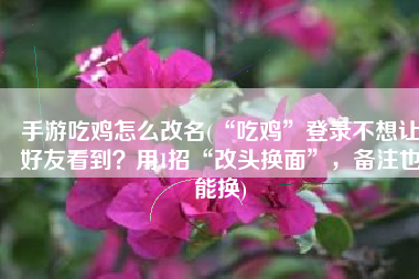 手游吃鸡怎么改名(“吃鸡”登录不想让好友看到？用1招“改头换面”，备注也能换)