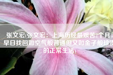 张文宏(张文宏：上海历经最艰苦2个月，早日找回如空气般普通但又如金子般珍贵的正常生活)