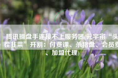 腾讯操盘手连接不上服务器(元宇宙“头茬韭菜”开割：付费课、杀猪盘、会员费、加盟代理)