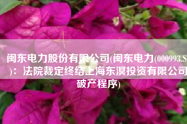 闽东电力股份有限公司(闽东电力(000993.SZ)：法院裁定终结上海东溟投资有限公司破产程序)