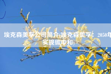 埃克森美孚公司简介(埃克森美孚：2050年实现碳中和)