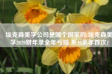 埃克森美孚公司是哪个国家的(埃克森美孚2020财年录全年亏损 系40余年首次)