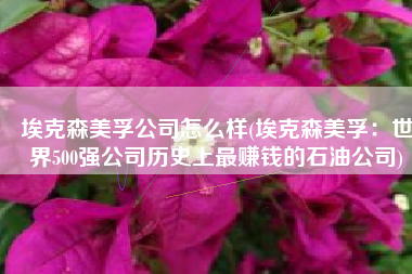 埃克森美孚公司怎么样(埃克森美孚：世界500强公司历史上最赚钱的石油公司)