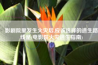 影剧院里发生火灾后,应该选择的逃生路线是(电影院火灾逃生指南)