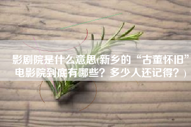 影剧院是什么意思(新乡的“古董怀旧”电影院到底有哪些？多少人还记得？)