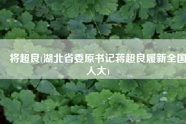 将超良(湖北省委原书记蒋超良履新全国人大)
