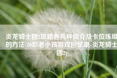 炎龙骑士团2攻略各兵种简介及卡位练级的方法(80后老小孩游戏回忆录-炎龙骑士团2)