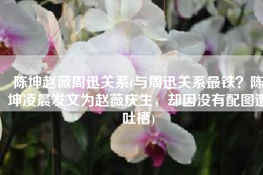 陈坤赵薇周迅关系(与周迅关系最铁？陈坤凌晨发文为赵薇庆生，却因没有配图遭吐槽)