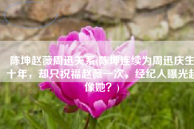 陈坤赵薇周迅关系(陈坤连续为周迅庆生十年，却只祝福赵薇一次，经纪人曝光超像她？)