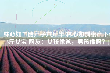 林心如二胎产子六斤半(林心如剖腹产下6.6斤女宝 网友：女孩像爸，男孩像妈？)