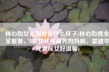 林心如女儿到底长什么样子(林心如携全家聚餐，5岁女儿身高齐妈妈胸，霍建华宠妻疼女好温馨)