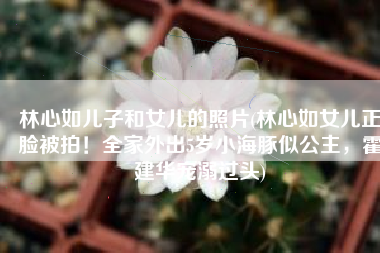 林心如儿子和女儿的照片(林心如女儿正脸被拍！全家外出5岁小海豚似公主，霍建华宠溺过头)