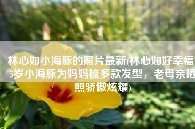 林心如小海豚的照片最新(林心如好幸福！5岁小海豚为妈妈梳多款发型，老母亲晒照骄傲炫耀)