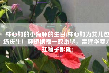 林心如的小海豚的生日(林心如为女儿包场庆生！穿短裙露一双嫩腿，霍建华卖力扛箱子跟随)