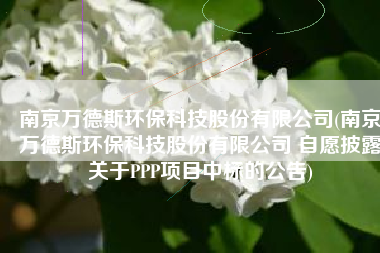南京万德斯环保科技股份有限公司(南京万德斯环保科技股份有限公司 自愿披露关于PPP项目中标的公告)