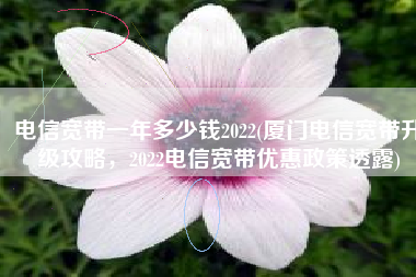 电信宽带一年多少钱2022(厦门电信宽带升级攻略，2022电信宽带优惠政策透露)