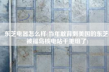 东芝电器怎么样(当年敢背刺美国的东芝，被福岛核电站干重组了)