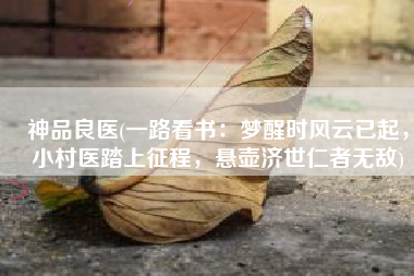 神品良医(一路看书：梦醒时风云已起，小村医踏上征程，悬壶济世仁者无敌)