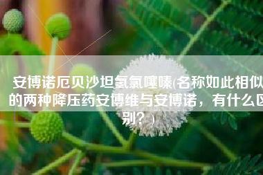 安博诺厄贝沙坦氢氯噻嗪(名称如此相似的两种降压药安博维与安博诺，有什么区别？)