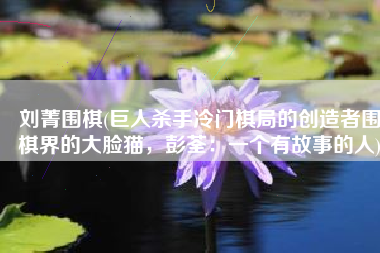 刘菁围棋(巨人杀手冷门棋局的创造者围棋界的大脸猫，彭荃：一个有故事的人)