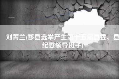 刘菁兰(黟县选举产生第十五届县委、县纪委领导班子)