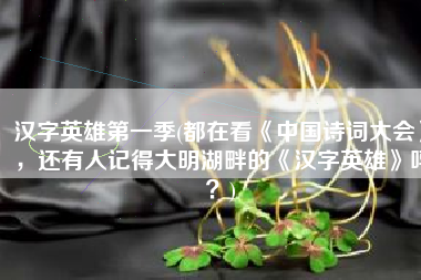 汉字英雄第一季(都在看《中国诗词大会》，还有人记得大明湖畔的《汉字英雄》吗？)