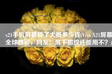 x21手机屏幕碎了大概多少钱(Vivo X21屏幕全球首碎，网友：屏下指纹还能用不？)