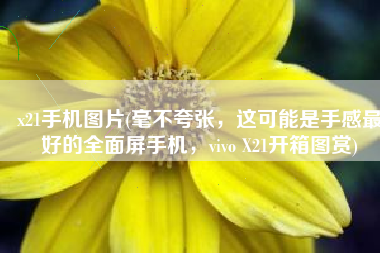 x21手机图片(毫不夸张，这可能是手感最好的全面屏手机，vivo X21开箱图赏)