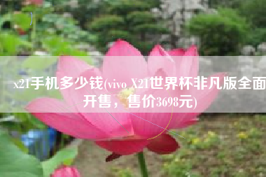 x21手机多少钱(vivo X21世界杯非凡版全面开售，售价3698元)