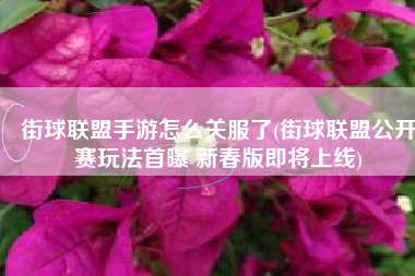 街球联盟手游怎么关服了(街球联盟公开赛玩法首曝 新春版即将上线)