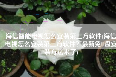 海信智能电视怎么安装第三方软件(海信电视怎么安装第三方软件？最新免U盘安装方法来了)