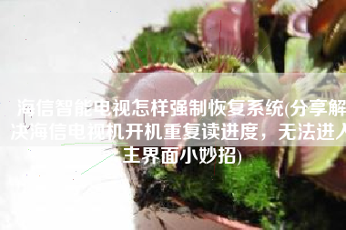 海信智能电视怎样强制恢复系统(分享解决海信电视机开机重复读进度，无法进入主界面小妙招)