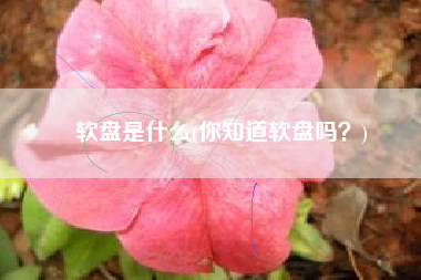 软盘是什么(你知道软盘吗？)