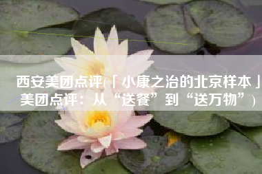 西安美团点评(「小康之治的北京样本」美团点评：从“送餐”到“送万物”)