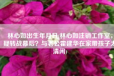 林心如出生年月日(林心如注销工作室，疑转战幕后？与老公霍建华在家带孩子太清闲)