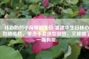 林心如的小海豚的生日(霍建华生日林心如晒蛋糕，拳击手套造型别致，又被喂了一嘴狗粮)