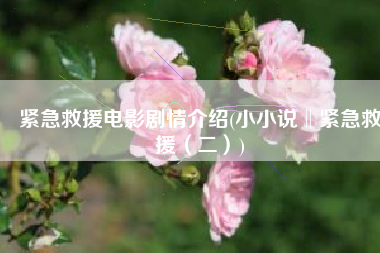 紧急救援电影剧情介绍(小小说‖紧急救援（二）)