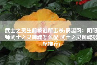 武士之灵生前被谁所击杀(搞趣网：阴阳师武士之灵御魂怎么配 武士之灵御魂搭配推荐)
