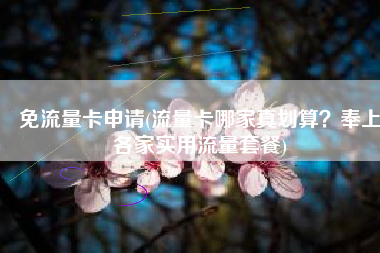 免流量卡申请(流量卡哪家真划算？奉上各家实用流量套餐)