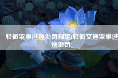轻微肇事逃逸处罚规定(轻微交通肇事逃逸处罚)
