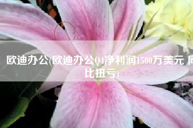 欧迪办公(欧迪办公Q4净利润1500万美元 同比扭亏)