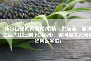 华尔街见闻网官网(疫情、供应链、通胀三座大山压制下的缩影：美国最大家居购物网站暴跌)