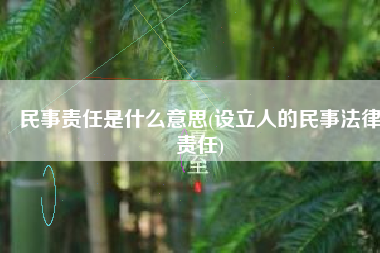 民事责任是什么意思(设立人的民事法律责任)